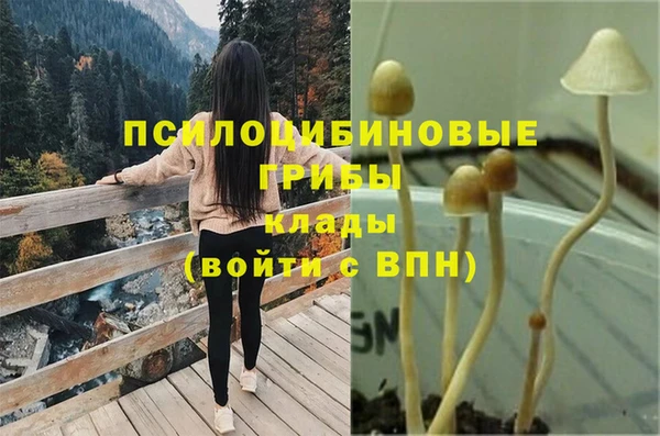 таблы Надым