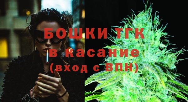 шишки Вязники