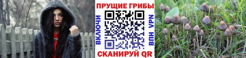 Галлюциногенные грибы прущие грибы  Новотроицк 