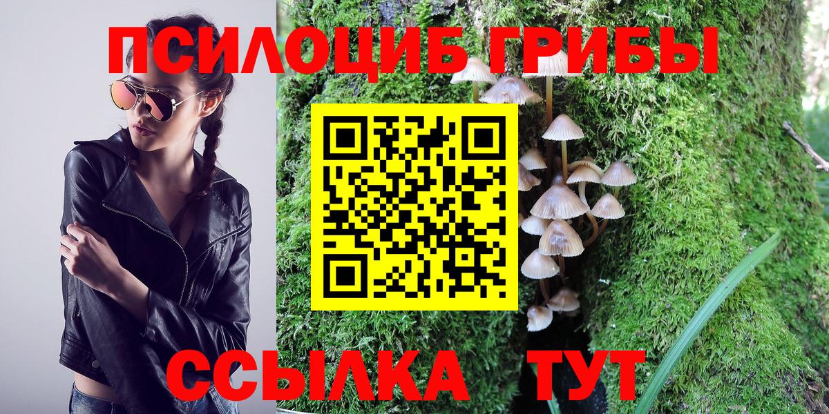 Новотроицк  Галлюциногенные грибы Psilocybe  Вход с VPN 
