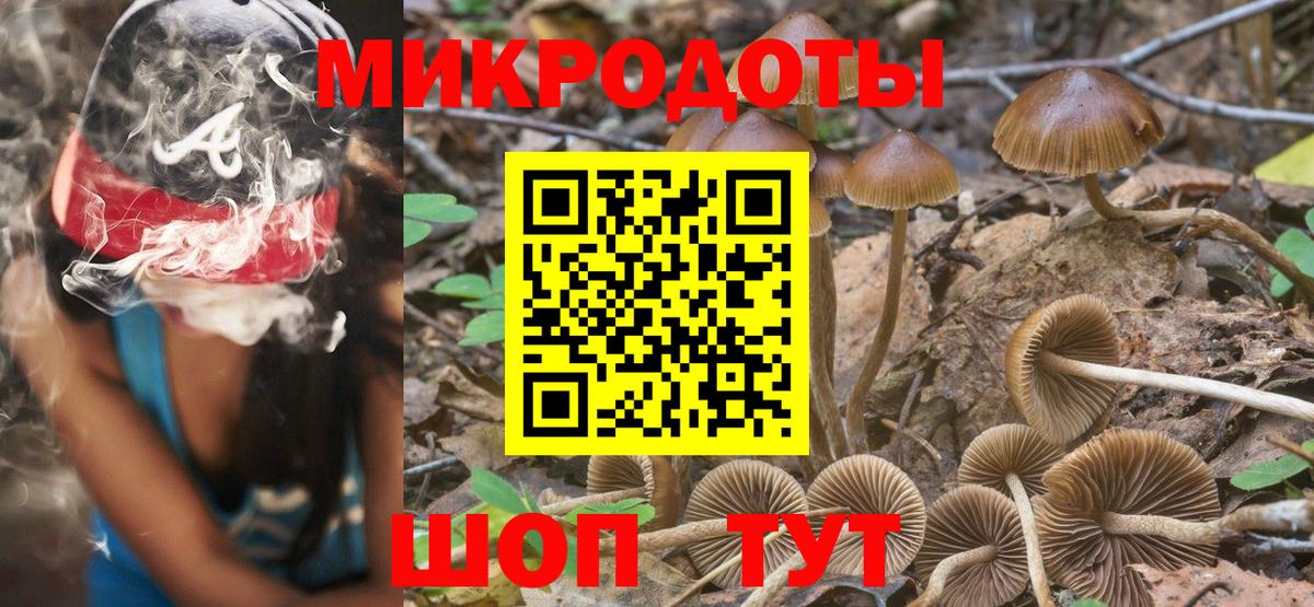 Галлюциногенные грибы ЛСД  Псилоцибиновые грибы Psilocybe  Новотроицк 